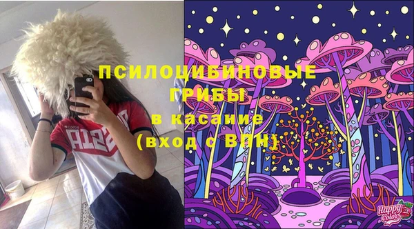 дмт Фурманов