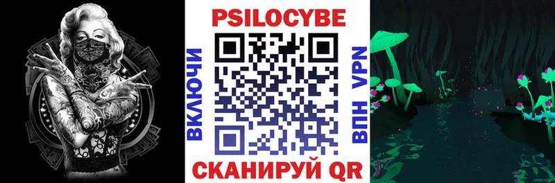 что такое   Вичуга  Псилоцибиновые грибы Psilocybe 