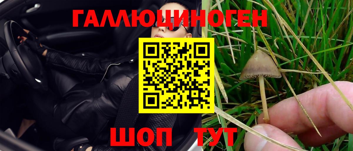 Вичуга  Галлюциногенные грибы MAGIC MUSHROOMS  Вход с VPN 